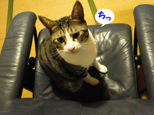 ちっ