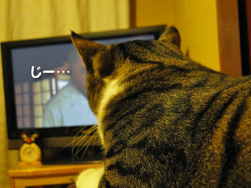 じー・・・