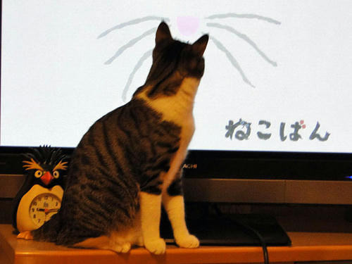 終わったかにゃ?