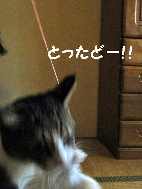とったどー