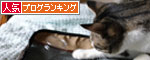 人気ブログランキング(猫ブログ)へ