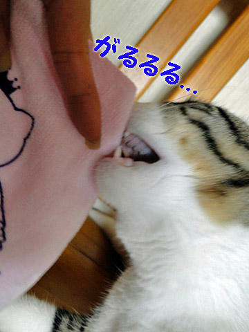 がるるる・・・
