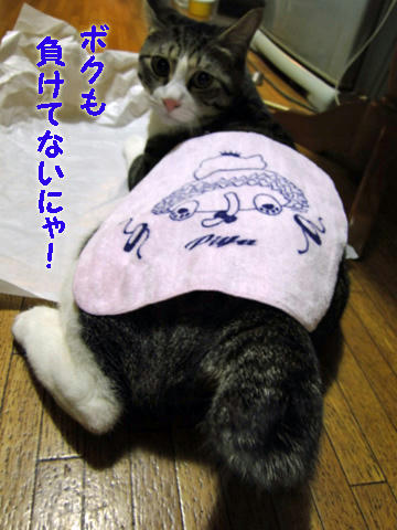 負けてないにゃ!