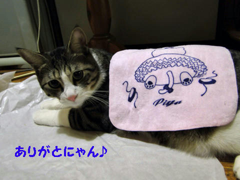 ありがとにゃん♪