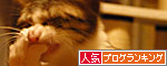 人気ブログランキング(猫ブログ)へ
