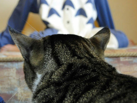 狙う