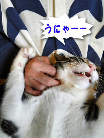 うにゃーー