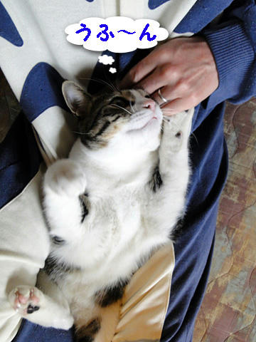うふ~ん