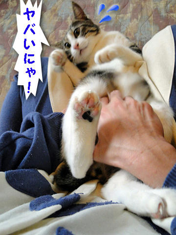 形勢不利!