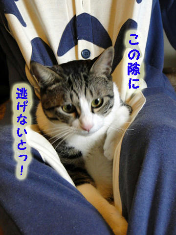 早く逃げないとっ