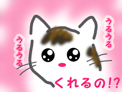 くれるの!?