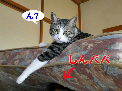 ん?
