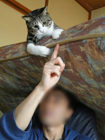 ETごっこする?