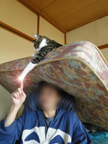 キラーン☆