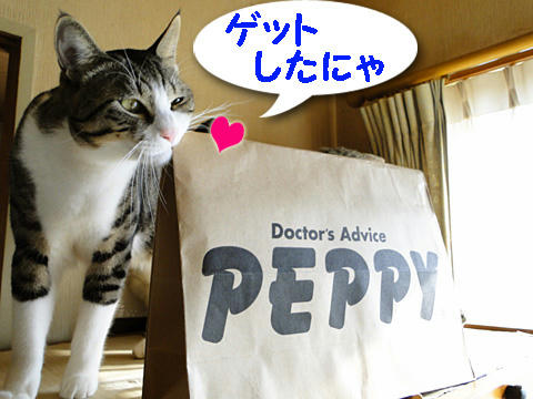 ゲットしたにゃ♪