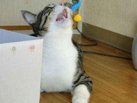 寝技1