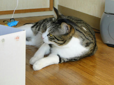 寝技3