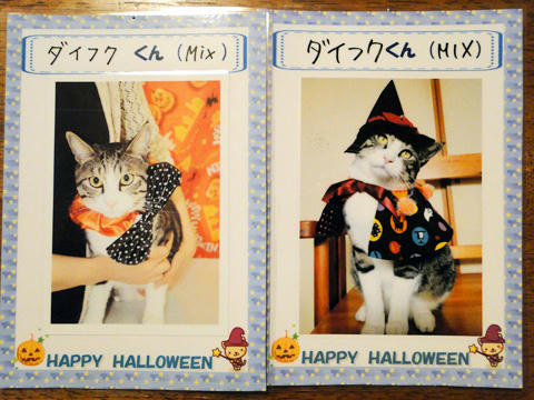 ハロウィン写真