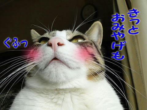 おみやげ