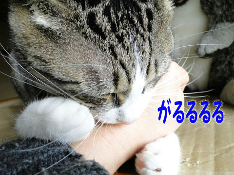 がるるるる