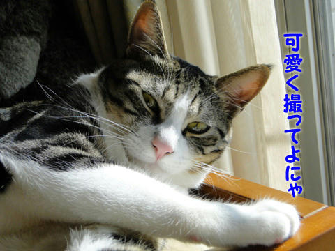 可愛く撮ってよね
