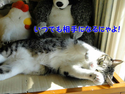 いつでも相手になるにゃよ!