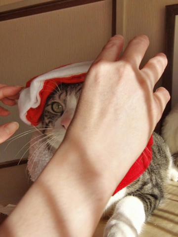 だいふくサンタ準備中