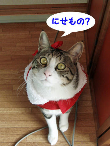 にせもの?