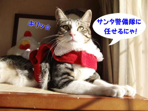 任せるにゃ!