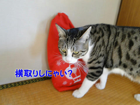 横取りしない?