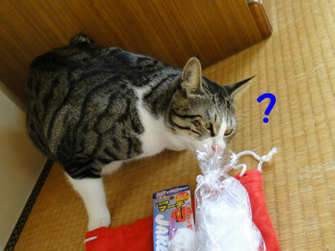 これは何?