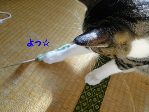 よっ♪
