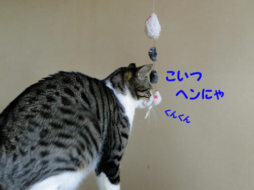へンにゃ!