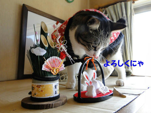 よろしくにゃ~