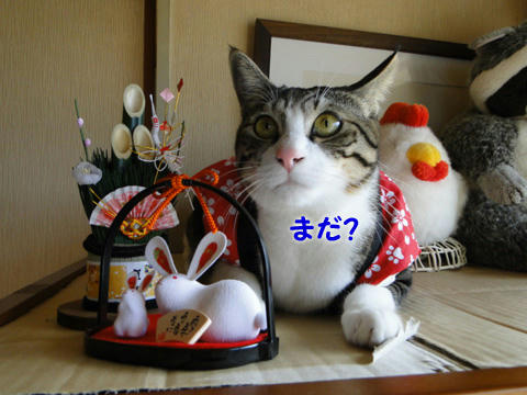 まだ?