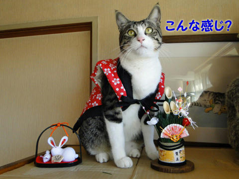 こんな感じ?