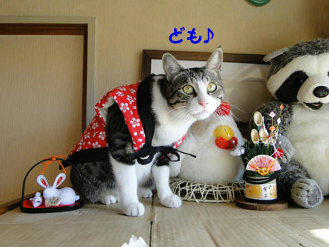 ども♪