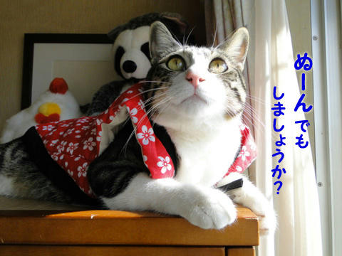 ぬーんして欲しい?