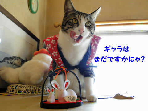 ギャラはまだか~?