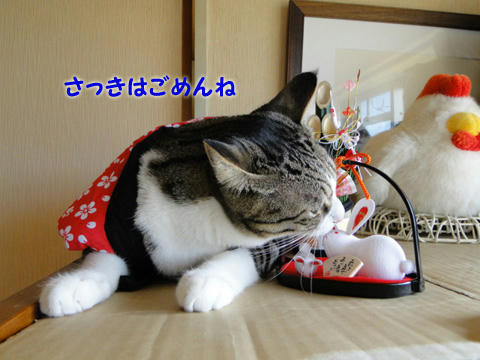 さっきはごめんね