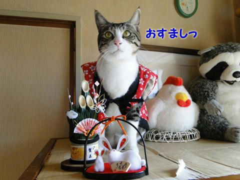 おすまし☆