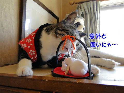 固いにゃ~