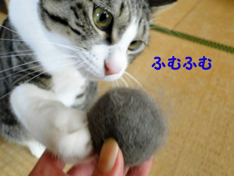 ふむふむ