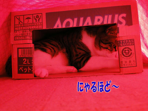なるほど、こうなってるのにゃね