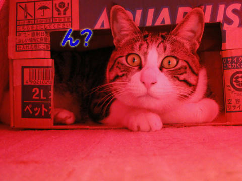 ん?