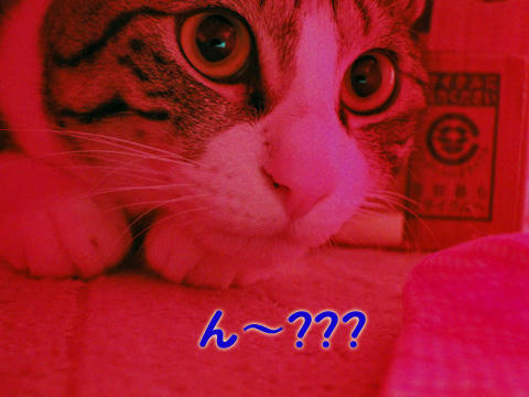 ん~~~?