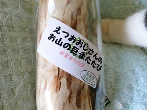 巨大マタタビ(家宝マタタビ)
