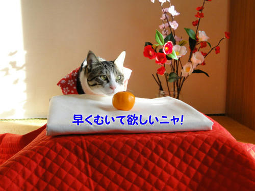 早くむいて