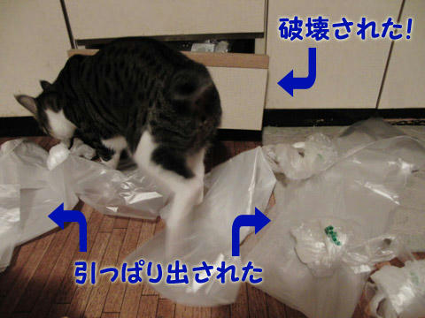 ぐちゃぐちゃ
