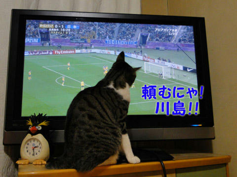 頼むにゃ!かわしまーー!